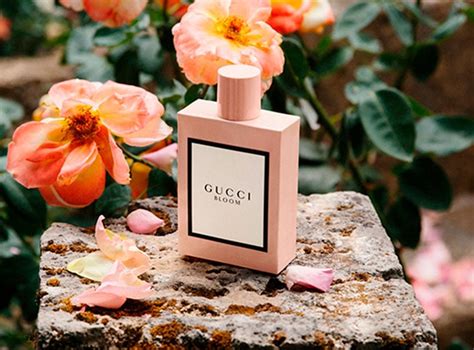 perfume gucci bloom mujer|Gucci Bloom perfumative.